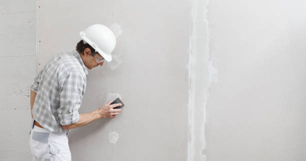 Best Commercial Mold Inspection  in Waukesha, WI