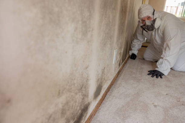 Best HVAC Mold Inspection and Cleaning  in Waukesha, WI